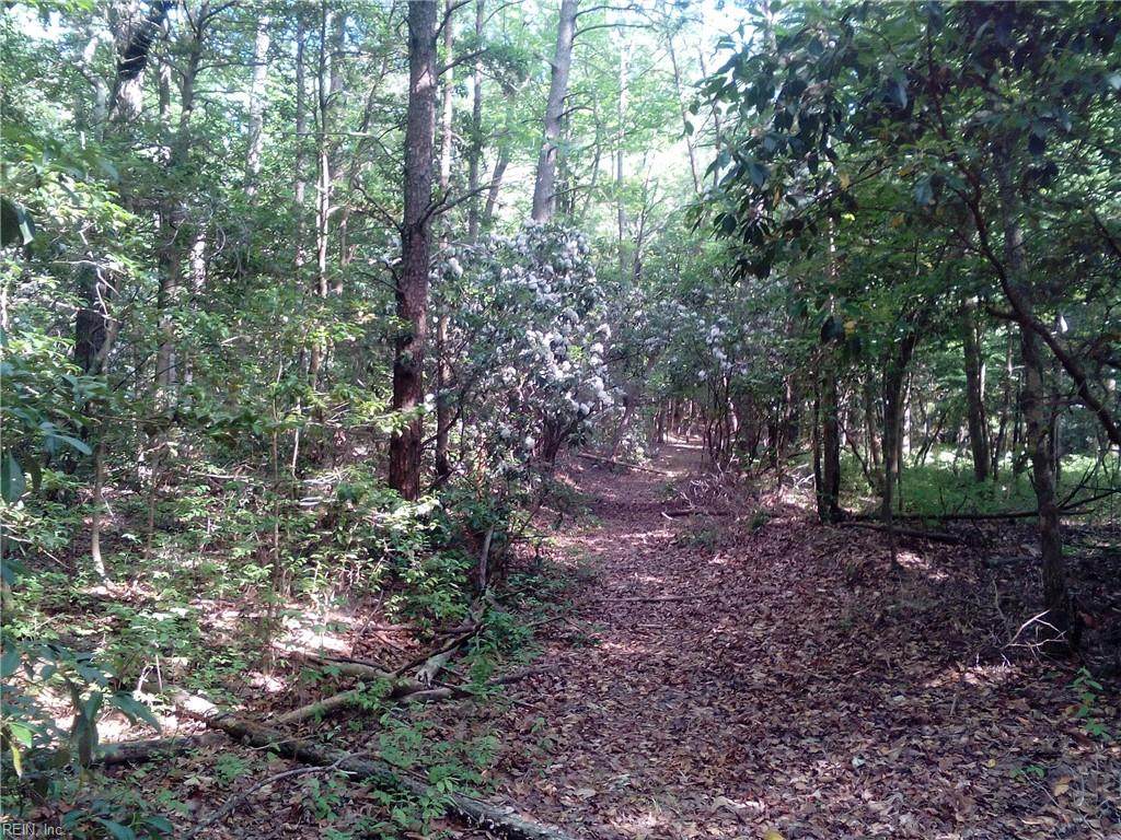 48 Ac Millers Landing Rd - Photo 1