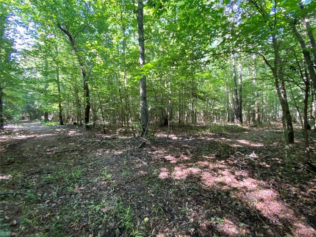 47.6ac Colonial Trl - Photo 1