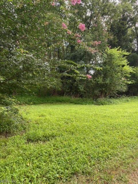 30.7ac Cotton Farm Ln - Photo 1