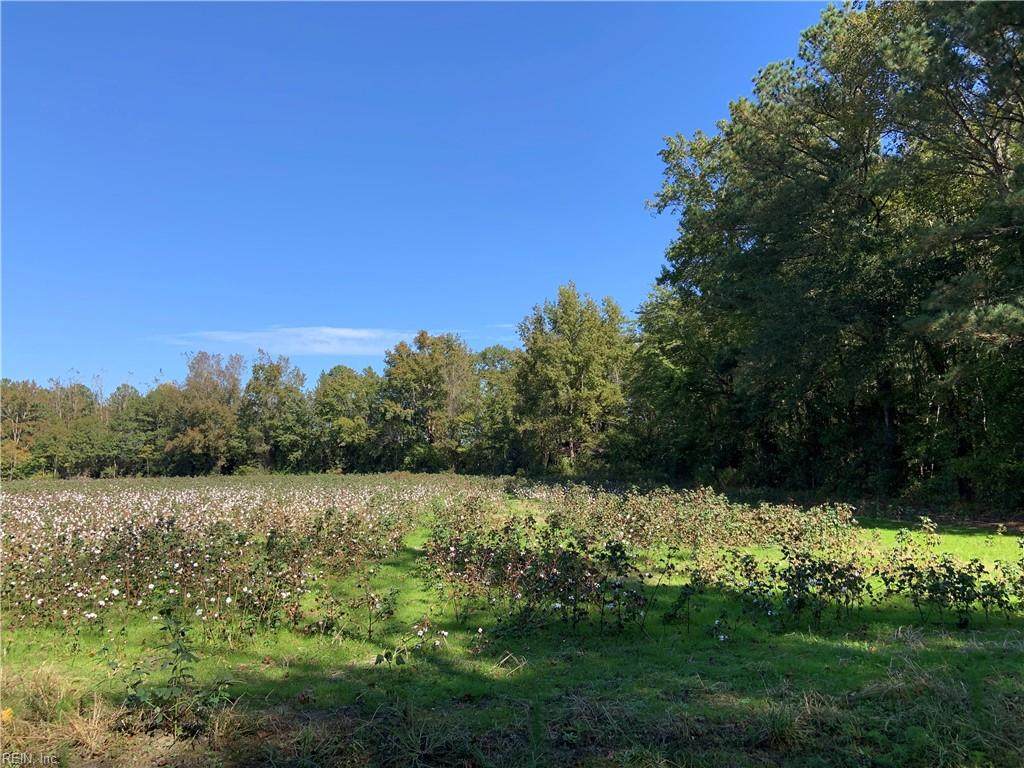 6+ Ac O'kelly Dr - Photo 1