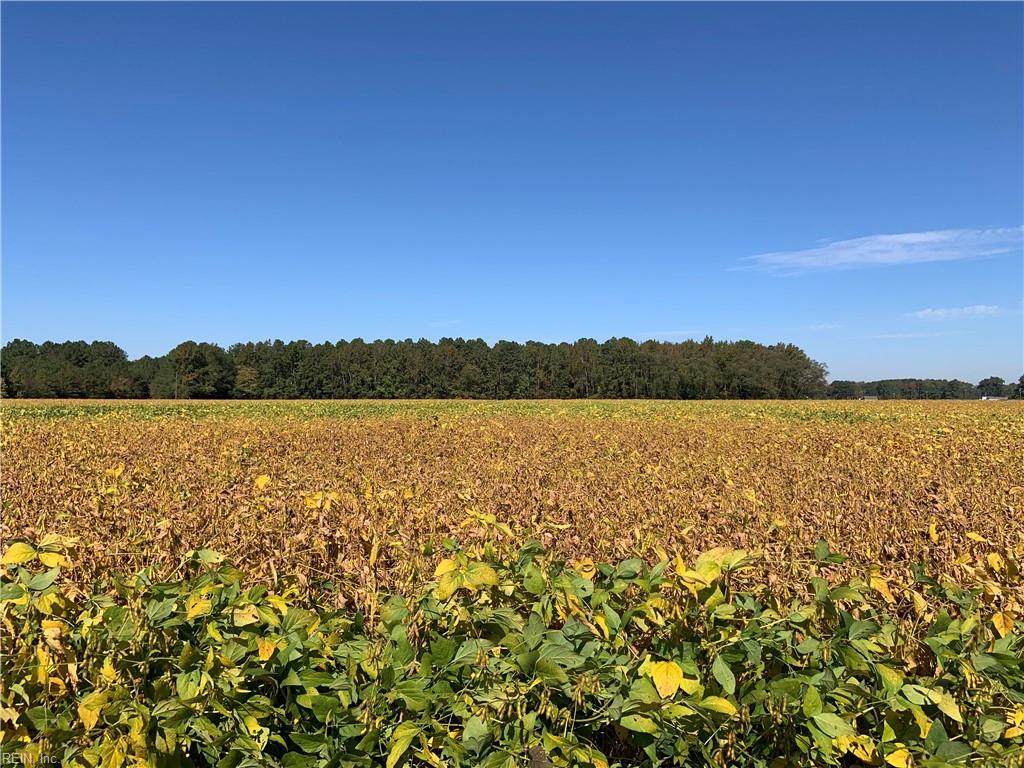 13+ Ac Vicksburg Rd - Photo 1