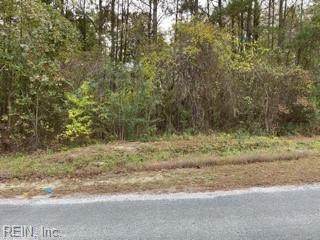 1 2 Ac Wellington Neck Rd - Photo 1