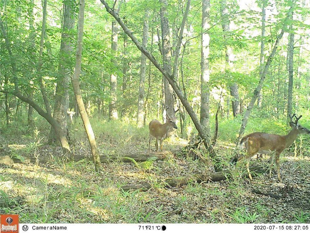 8.03 Ferry Point Rd - Photo 1