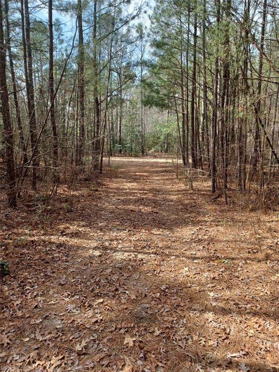 10 Ac Carter Hill (Par 5) St - Photo 1