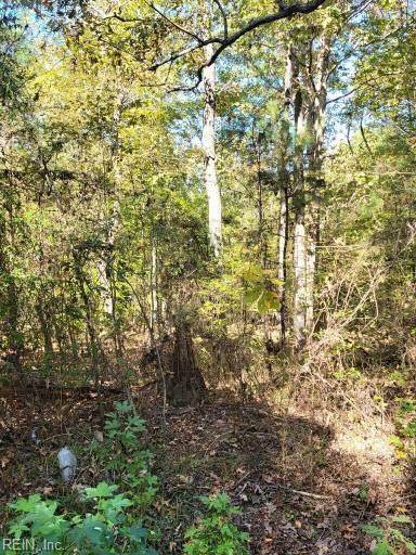 497R Woodland Trl - Photo 1