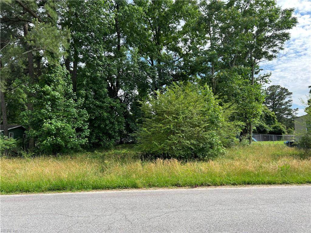 Lot 41 Pocahontas Ave - Photo 1