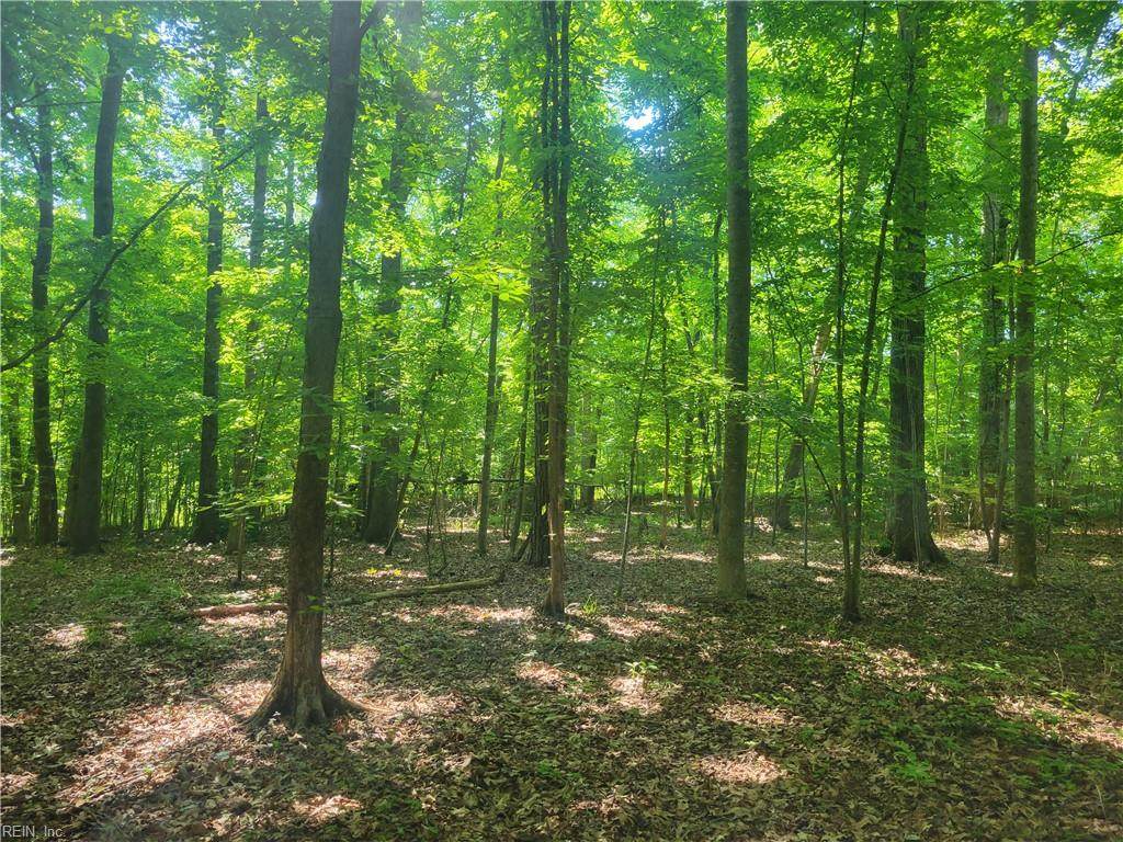 222 Pine Point Rd - Photo 1