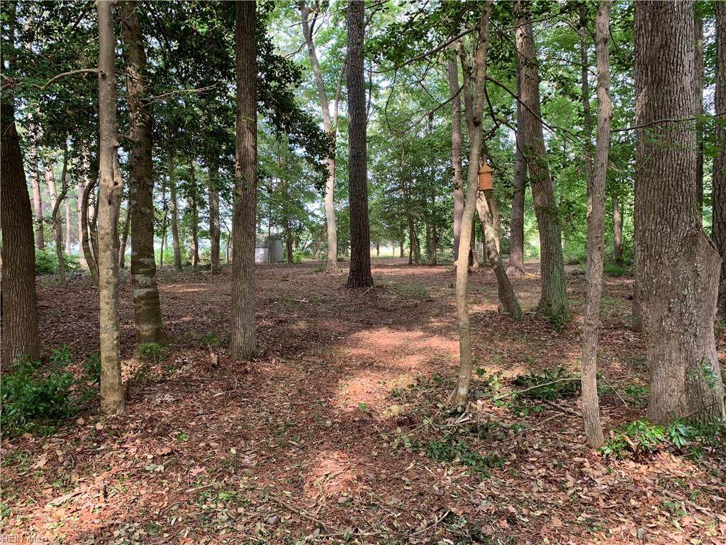 .89ac Morse Point Rd - Photo 1