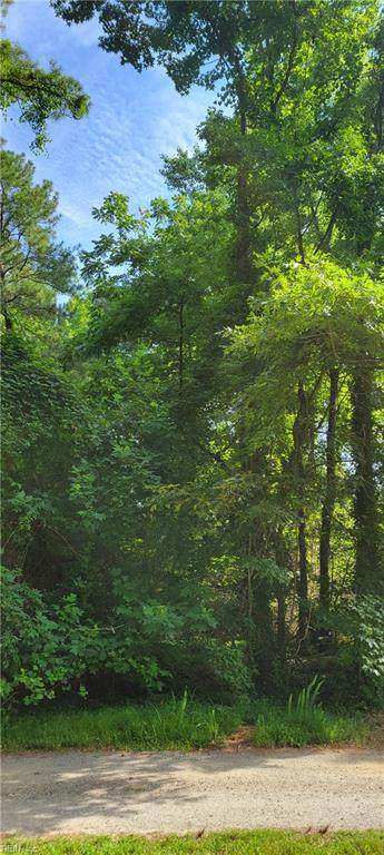 Lot 43 Columbine Dr - Photo 1