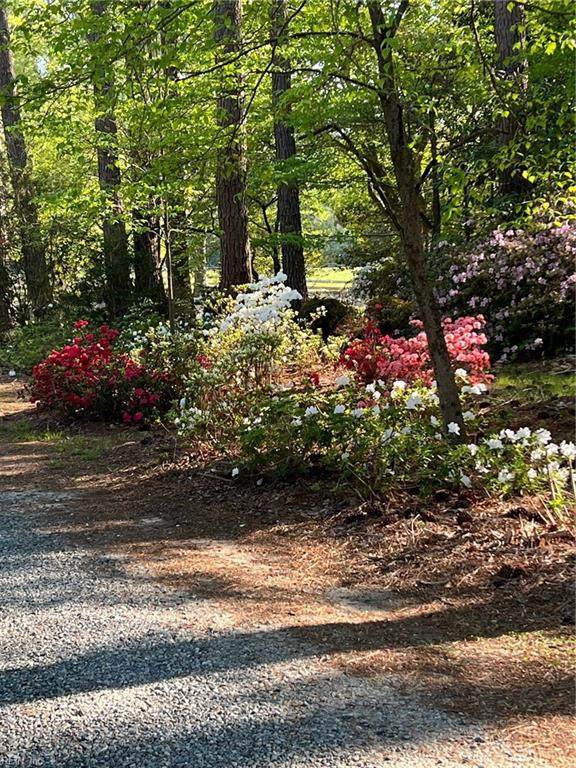 20A Lisburne Ln - Photo 1