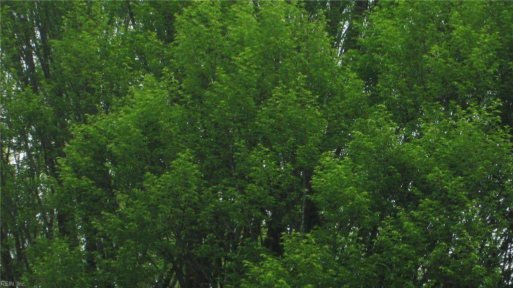 6+ac Fan Park Dr - Photo 1