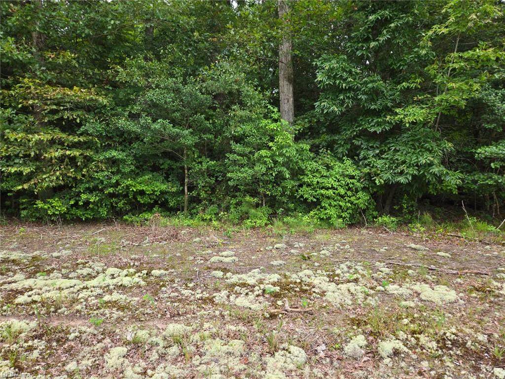 25.5AC Woodland Dr - Photo 1