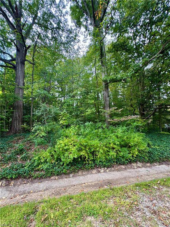 610 Tam O Shanter Blvd - Photo 1