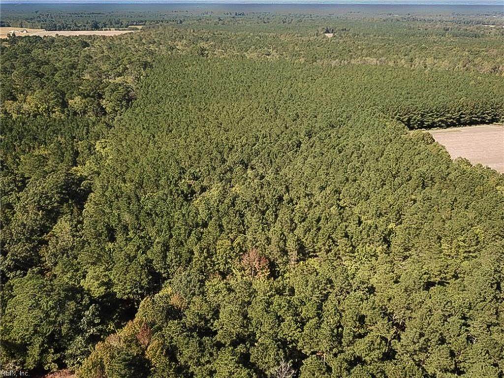 15 Acres Cypress Chapel Rd - Photo 1