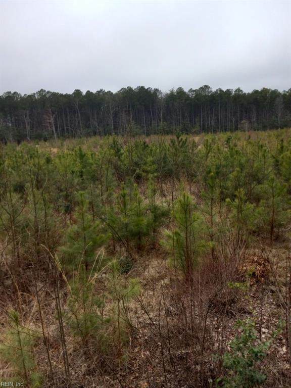 Lot 9 Saw Mill Ln - Photo 1