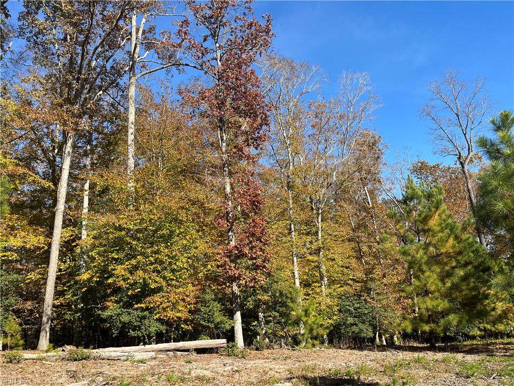 2425 Jolly Pond Rd - Photo 1