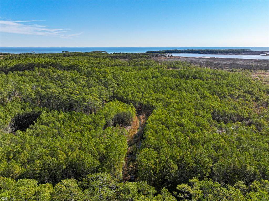 200+AC Buzzard Point (Off Of) Rd - Photo 1