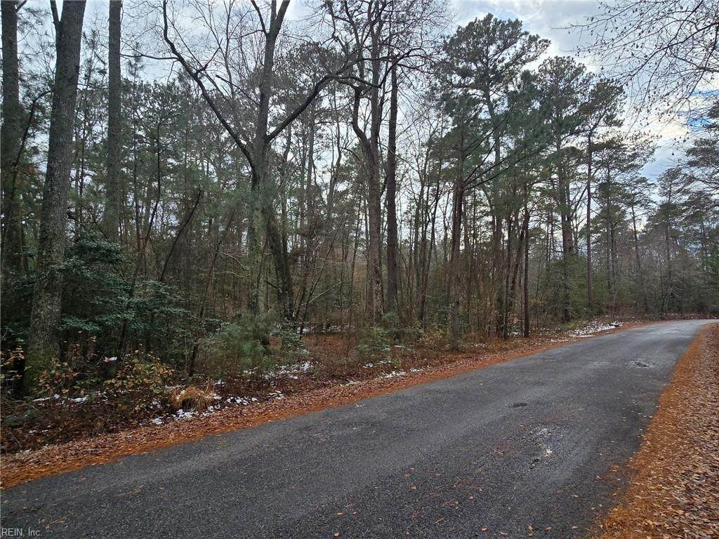 5.1+AC Fox Mill Ct - Photo 1