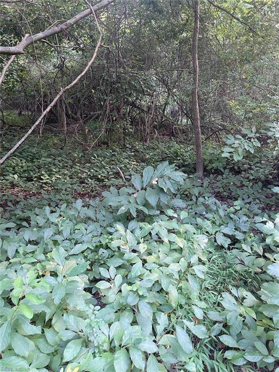 200 Campbell Ln - Photo 1