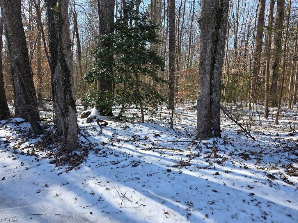 10+AC Whitetail Dr - Photo 1