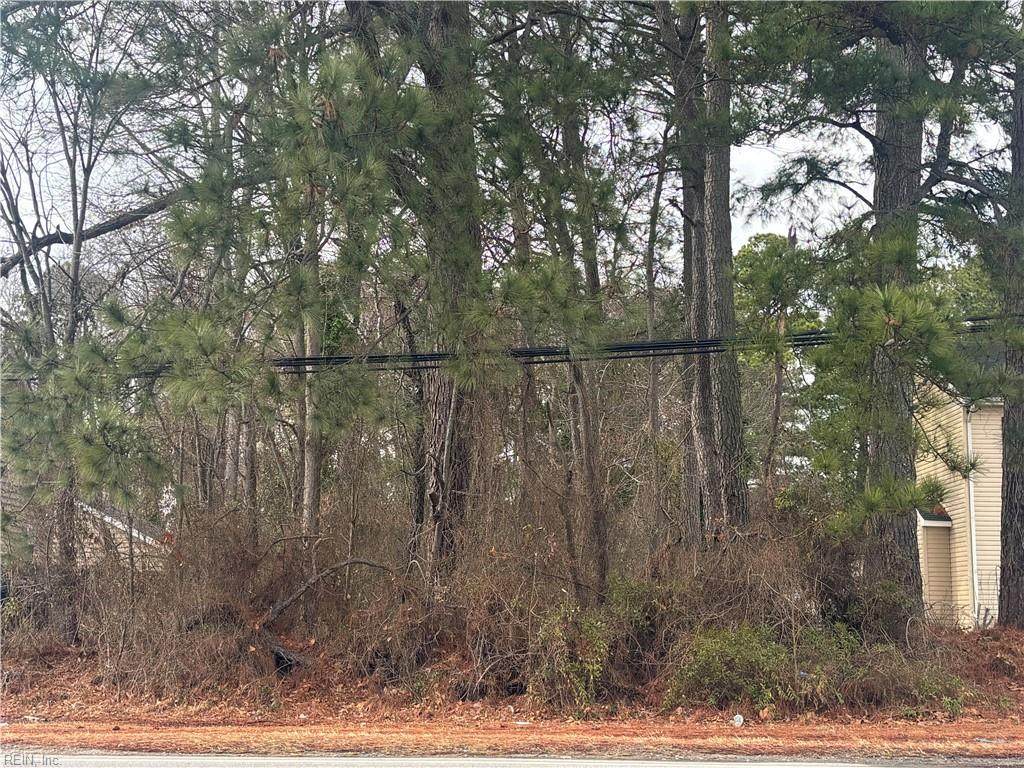 .2ac Airline Blvd - Photo 1