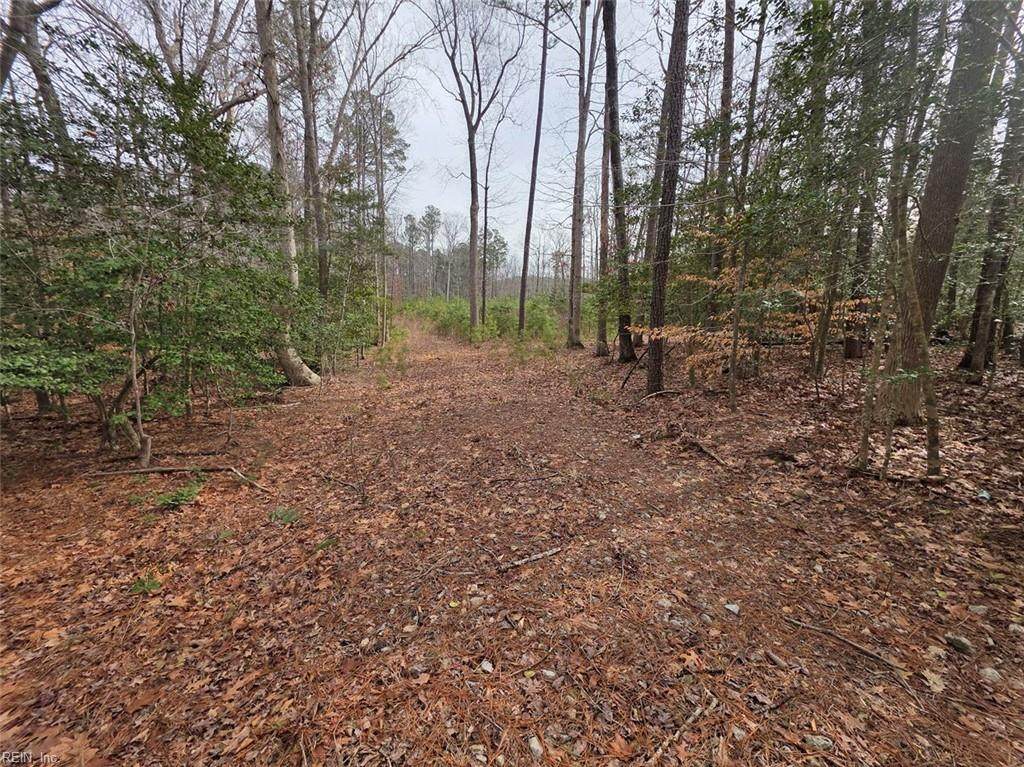 3.1+AC Buckskin Trl - Photo 1