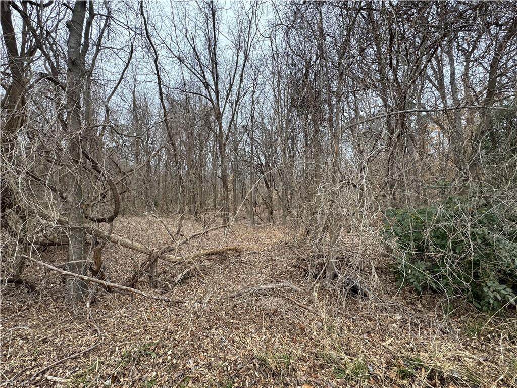 240 Dozier Rd - Photo 1