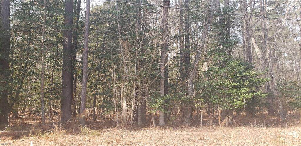 70 Homestead Ln - Photo 1