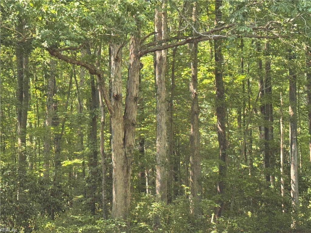 .26+AC Nansemond Pw - Photo 1