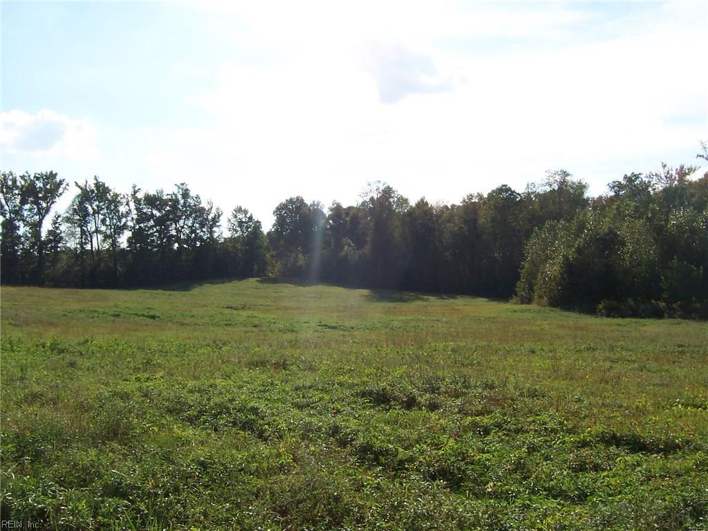 51 Acr Private Rd - Photo 1