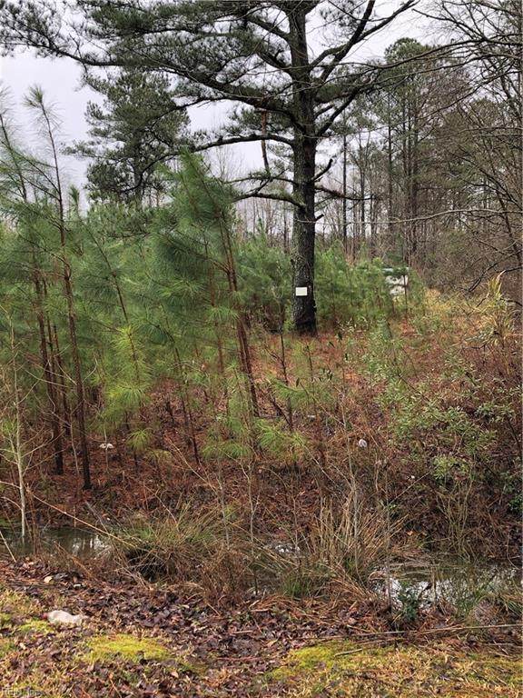 Lot 1 Bush Ln - Photo 1