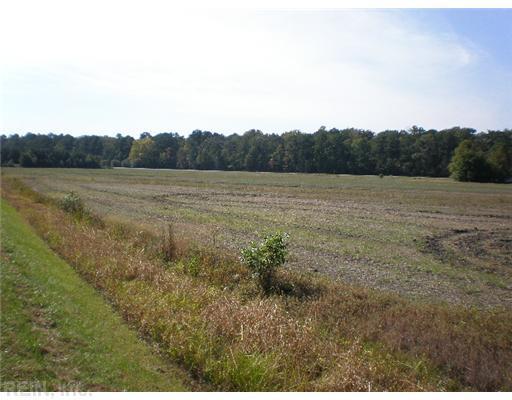 1344 Shillelagh Rd - Photo 1