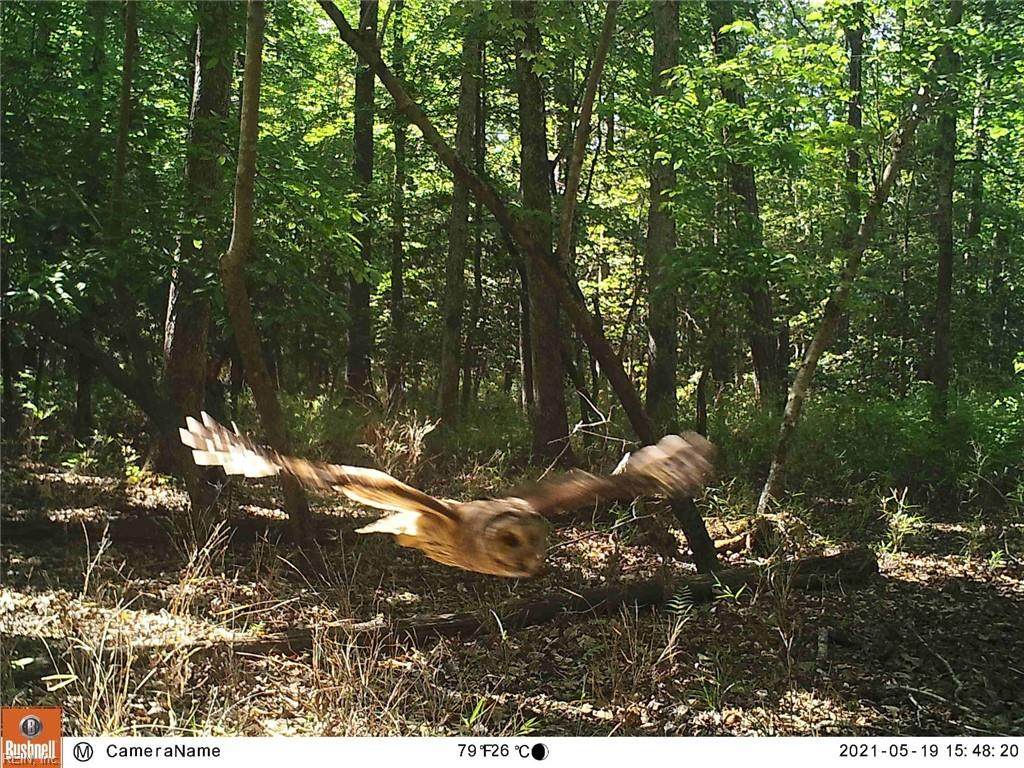 10AC Crittenden Rd - Photo 1