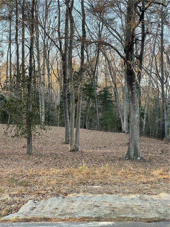 .33 Ac Roaring Springs Rd - Photo 1