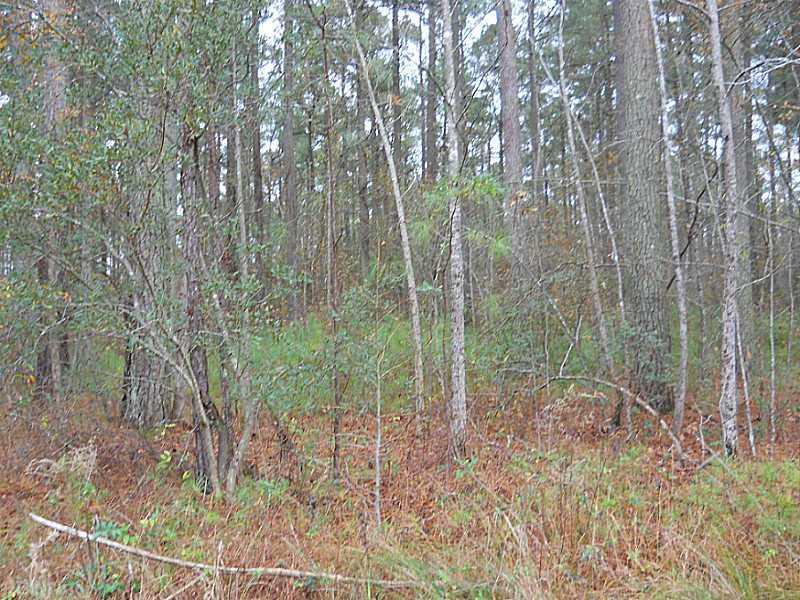 LOT 7 Bank St - Photo 1