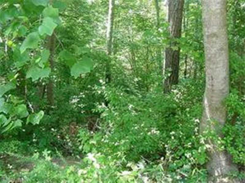 LOT 32 Stream Dr - Photo 1