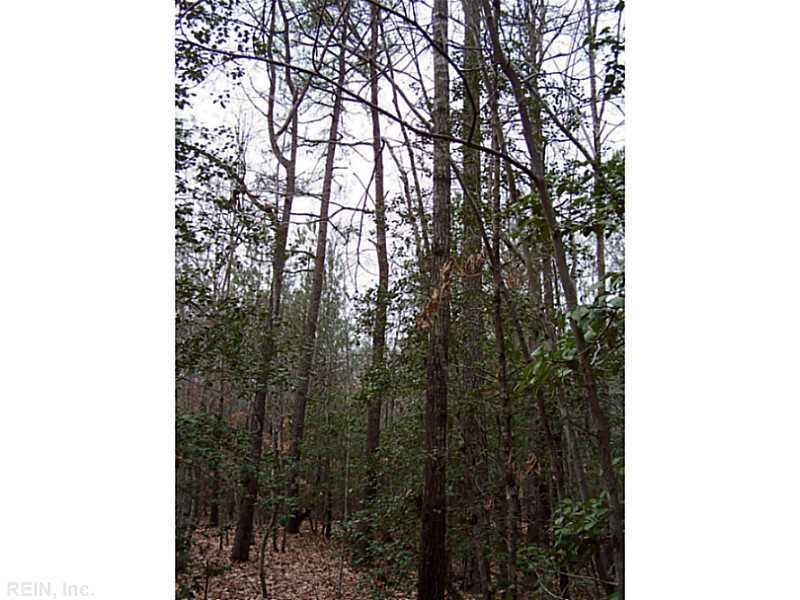 1000 Laurel Springs Dr - Photo 1