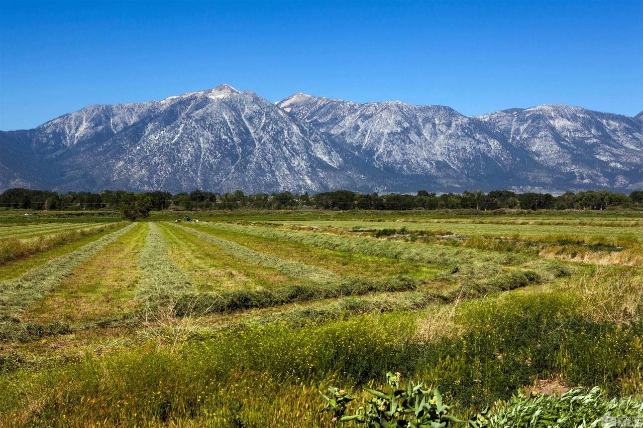 859 Highway 395 - Photo 1