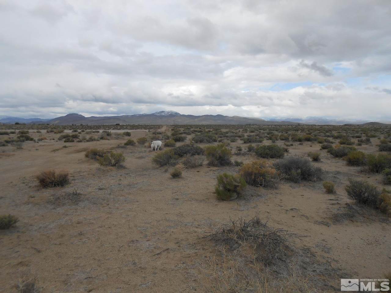 4530 4th Street - Photo 1