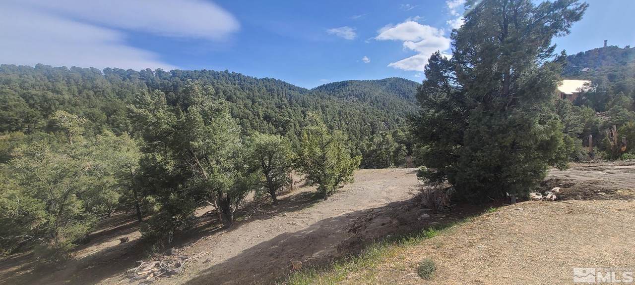 21685 Palomino - Photo 1