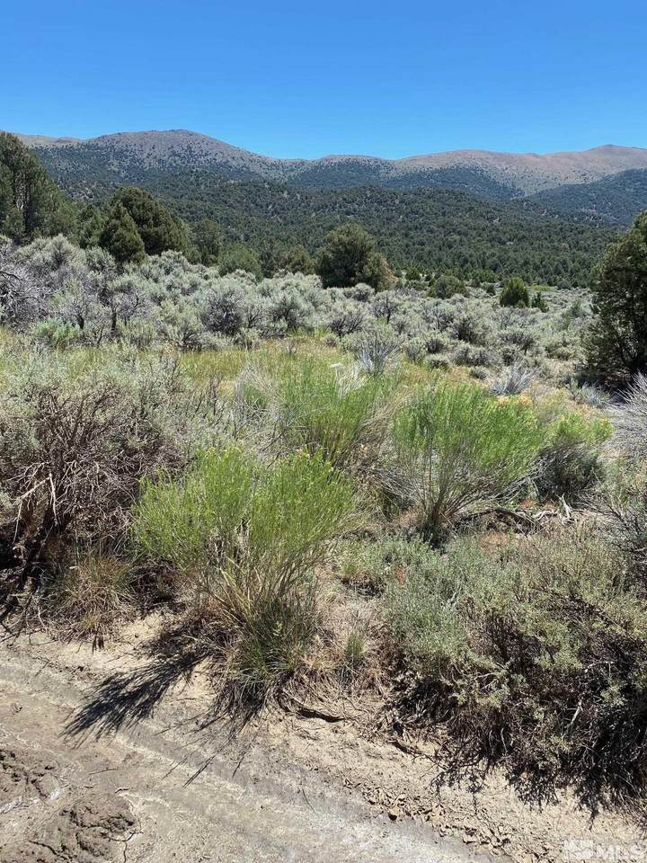 tbd El Dorado Canyon - Photo 1