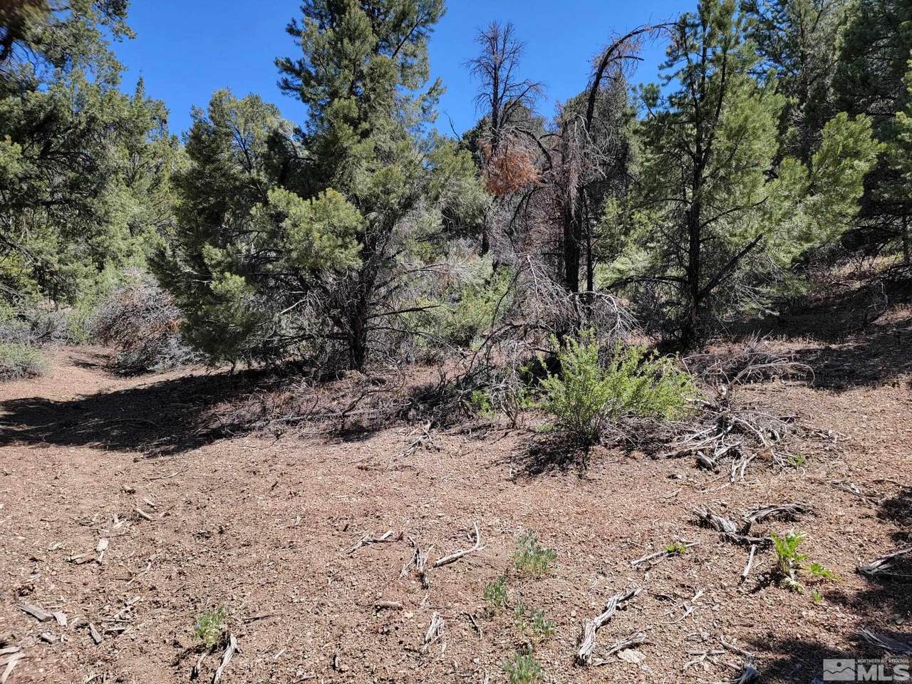 2165 Hermit Rd - Photo 1