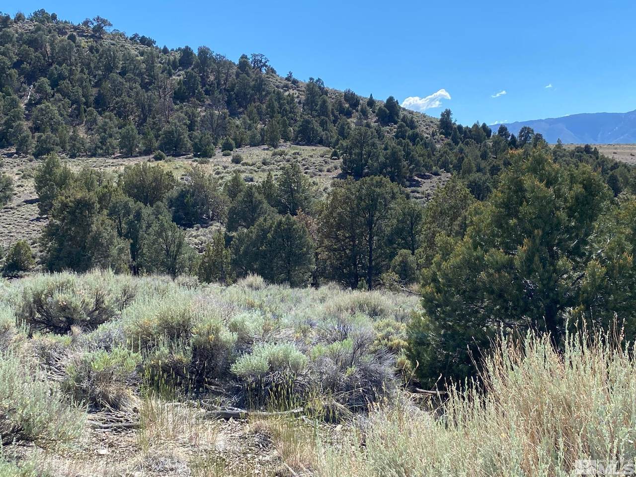 TBD Pine Nut Mountains (70) - Photo 1