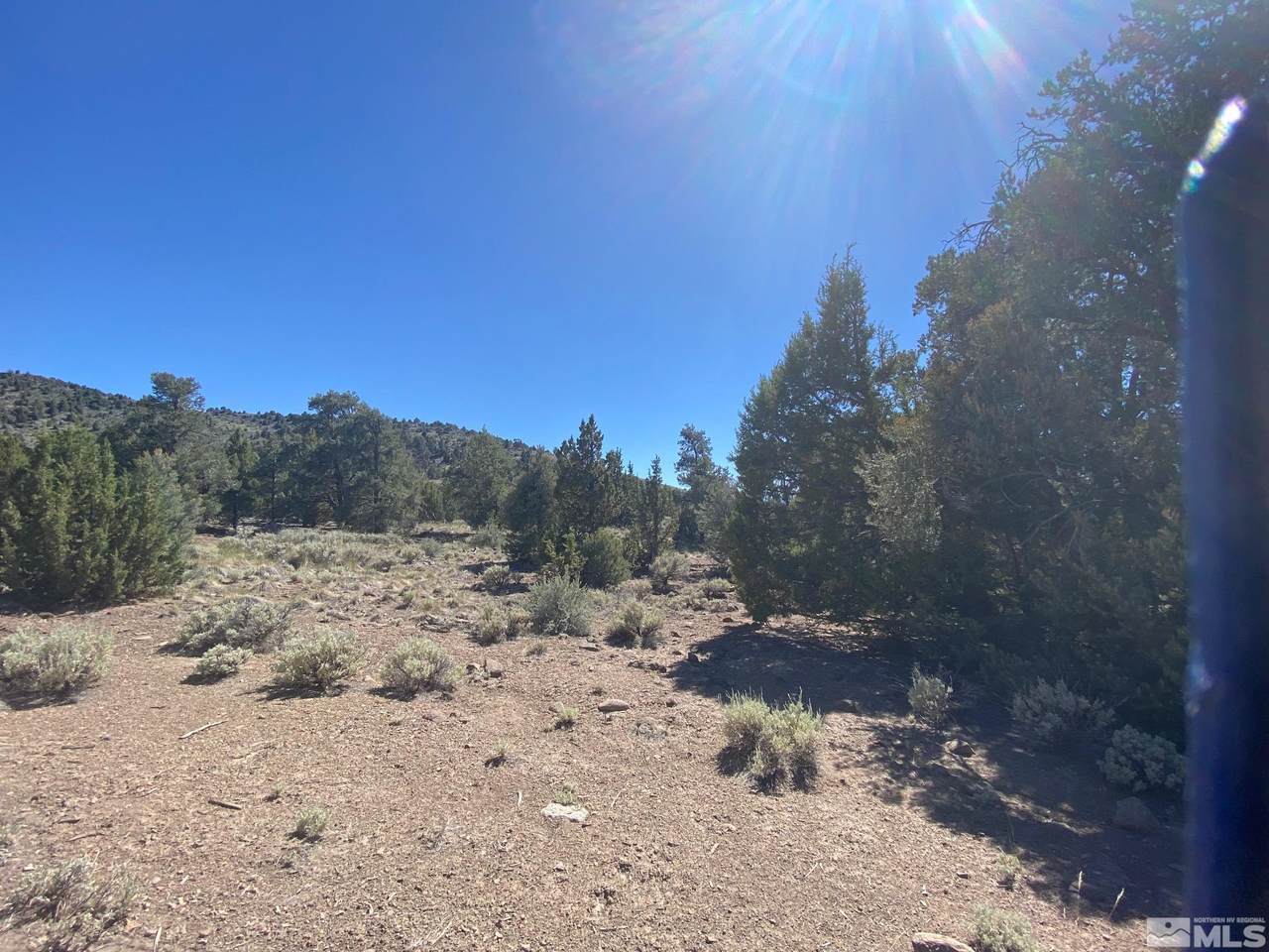 TBD Pine Nut Mountains (28) - Photo 1
