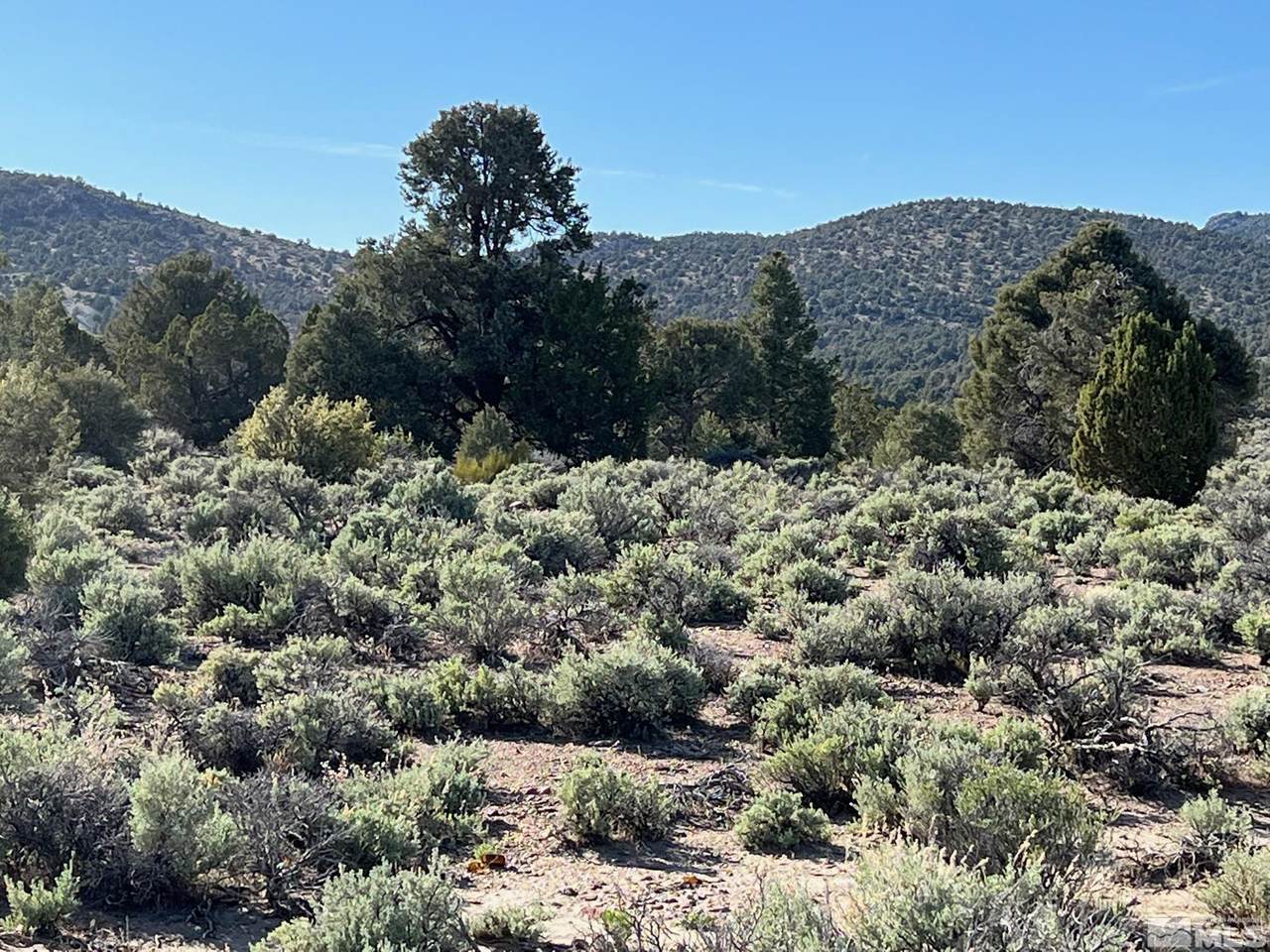 TBD Pine Nut Mountains (62) - Photo 1