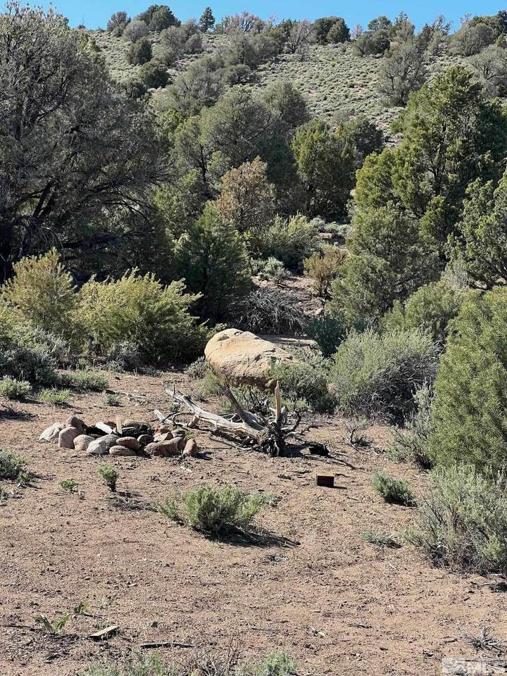 TBD Pine Nut Mountains (58) - Photo 1
