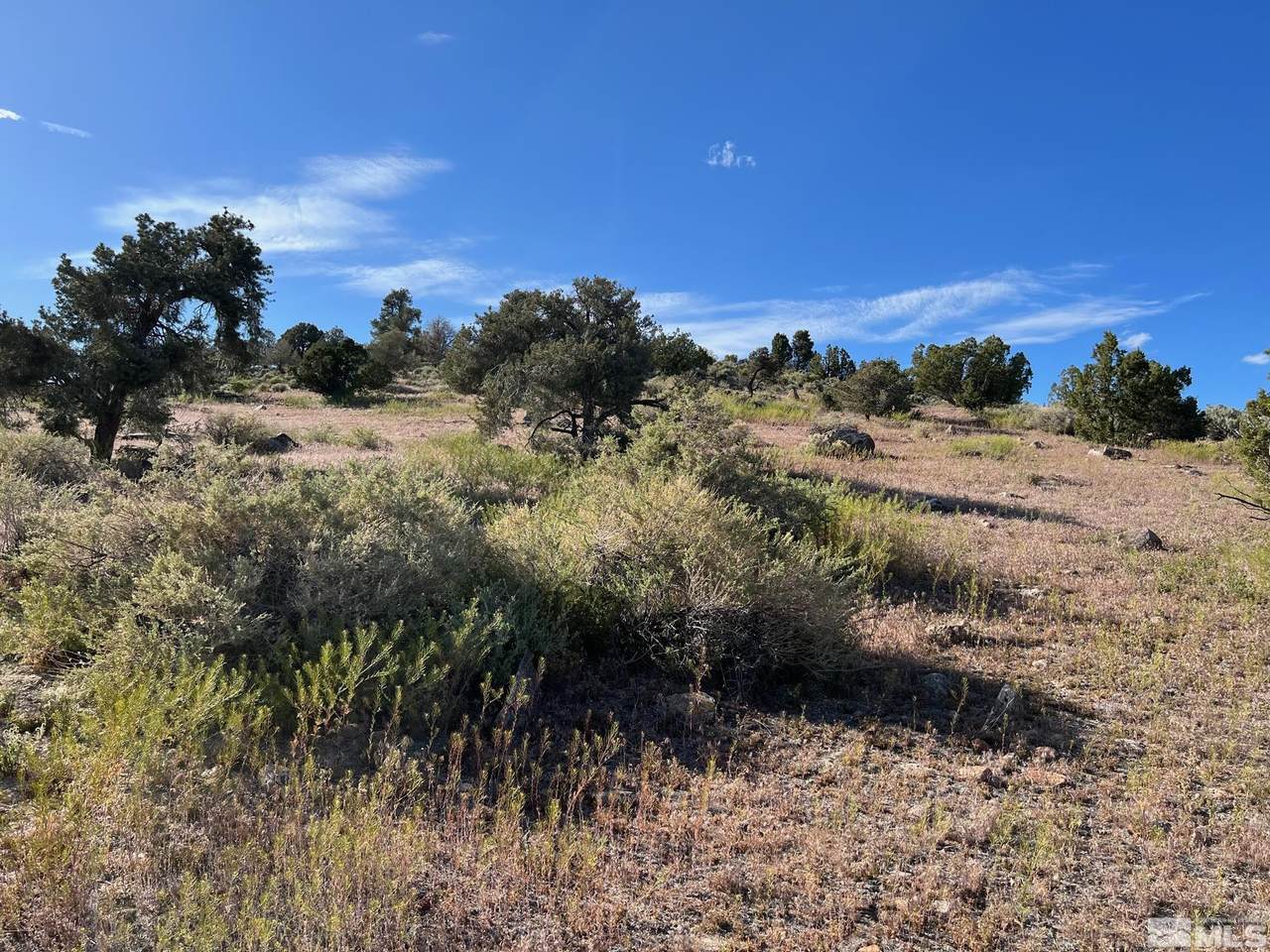 TBD Pine Nut Mountains (59) - Photo 1