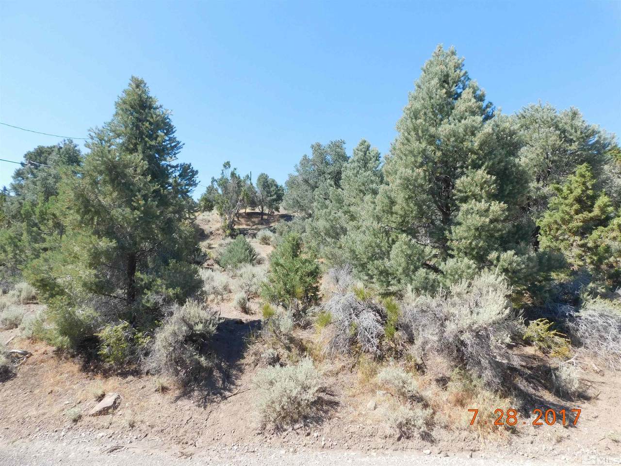 21665 Appaloosa Drive - Photo 1