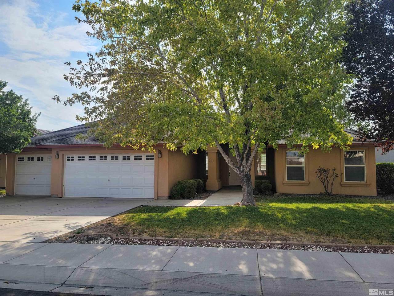 440 Dog Leg Dr - Photo 1