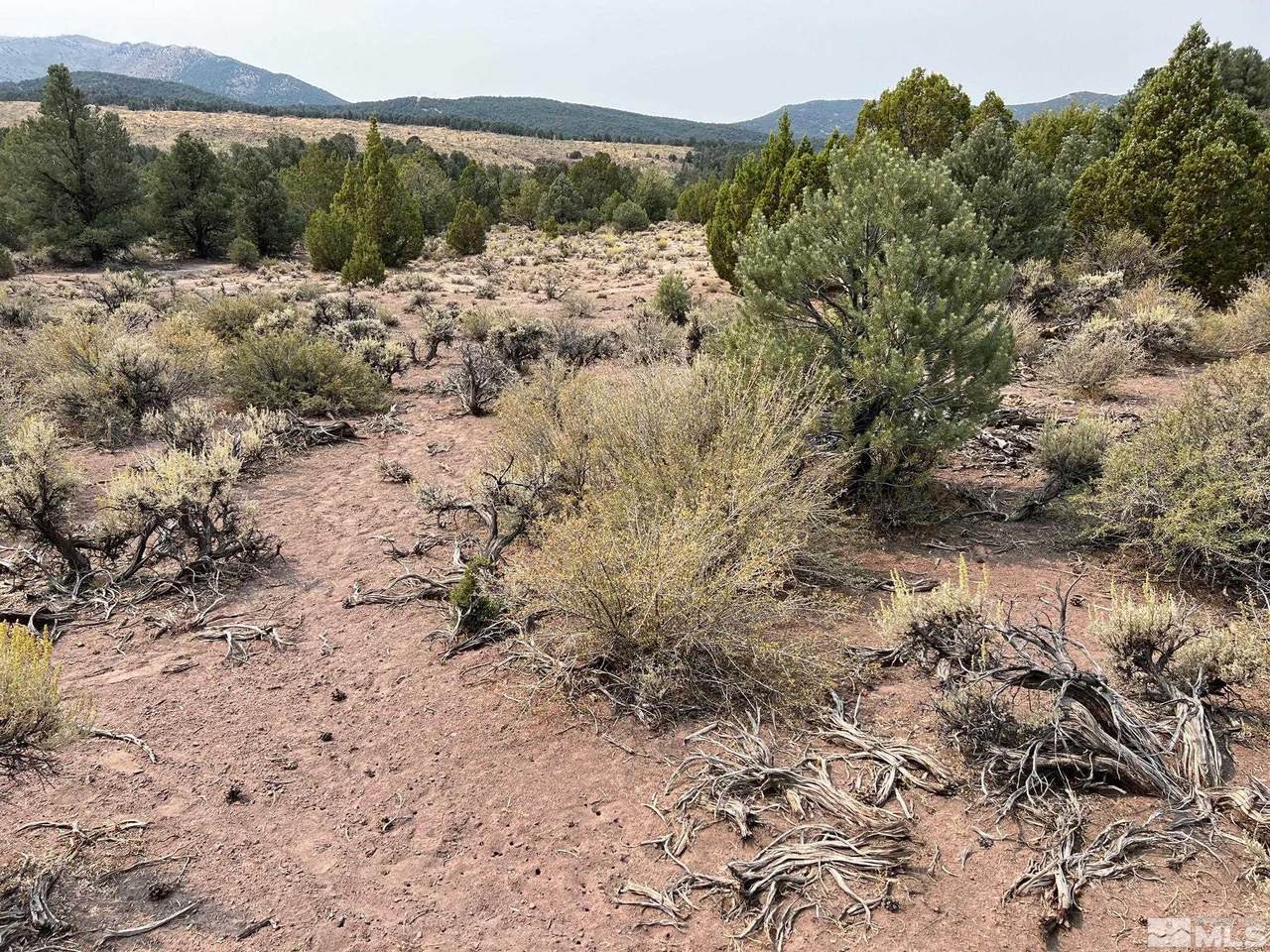 tbd Off Sunrise Pass (1) - Photo 1